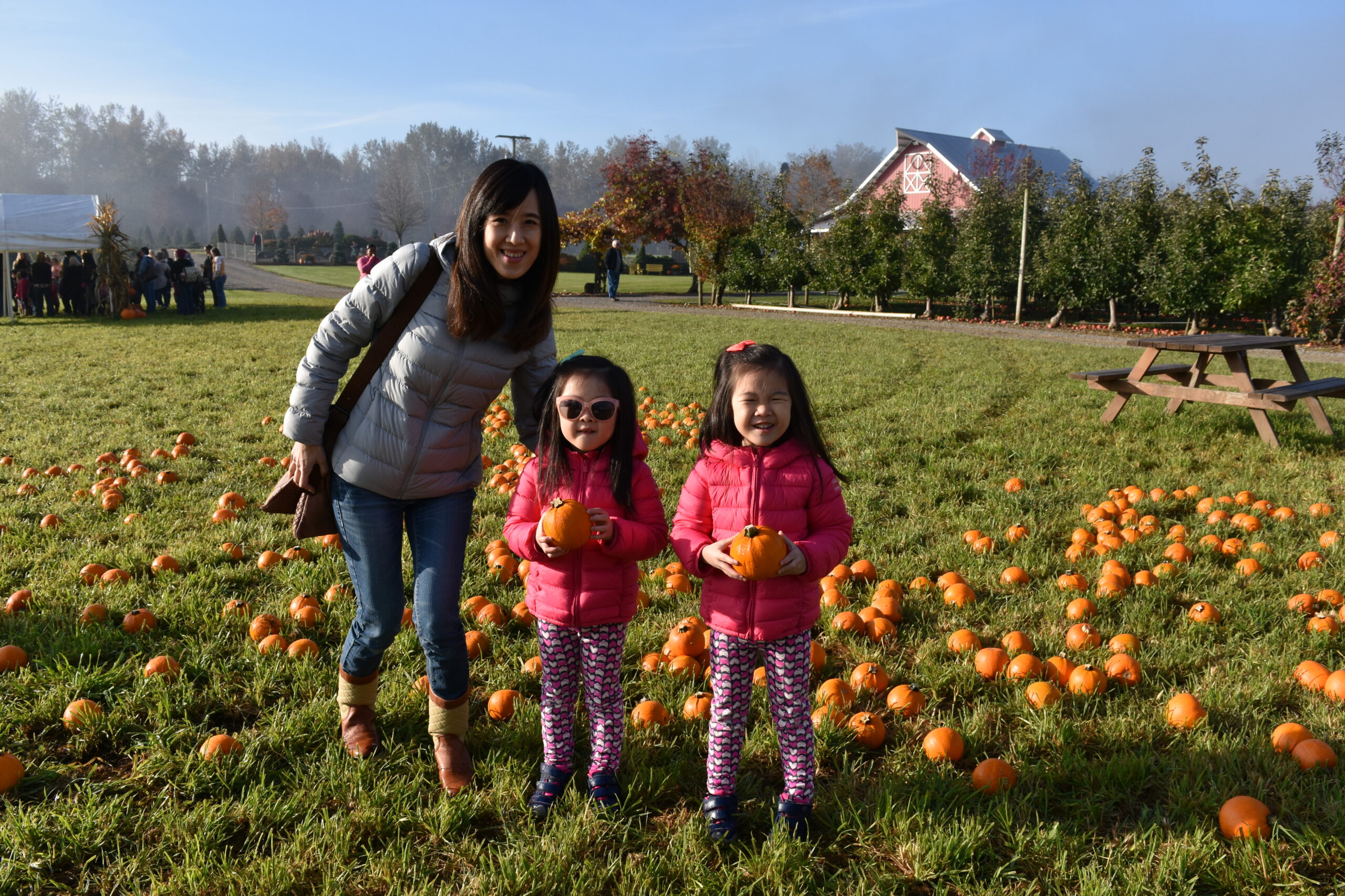 Reasons to Consider a Full Day Preschool Program!